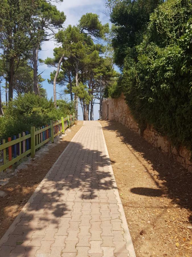 וולי לוסיניי Apartment Zdenka מראה חיצוני תמונה